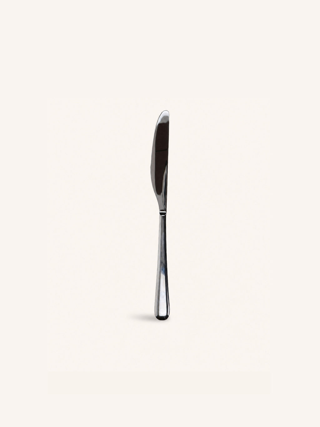 RODIN - cuchillo 13/0 - acero inoxidable - L 24 x W 0,8 cm - plateado