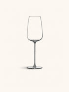 SYRAH - copa de vino blanco - vidrio cristalino - DIA 25,2 x H 8 cm